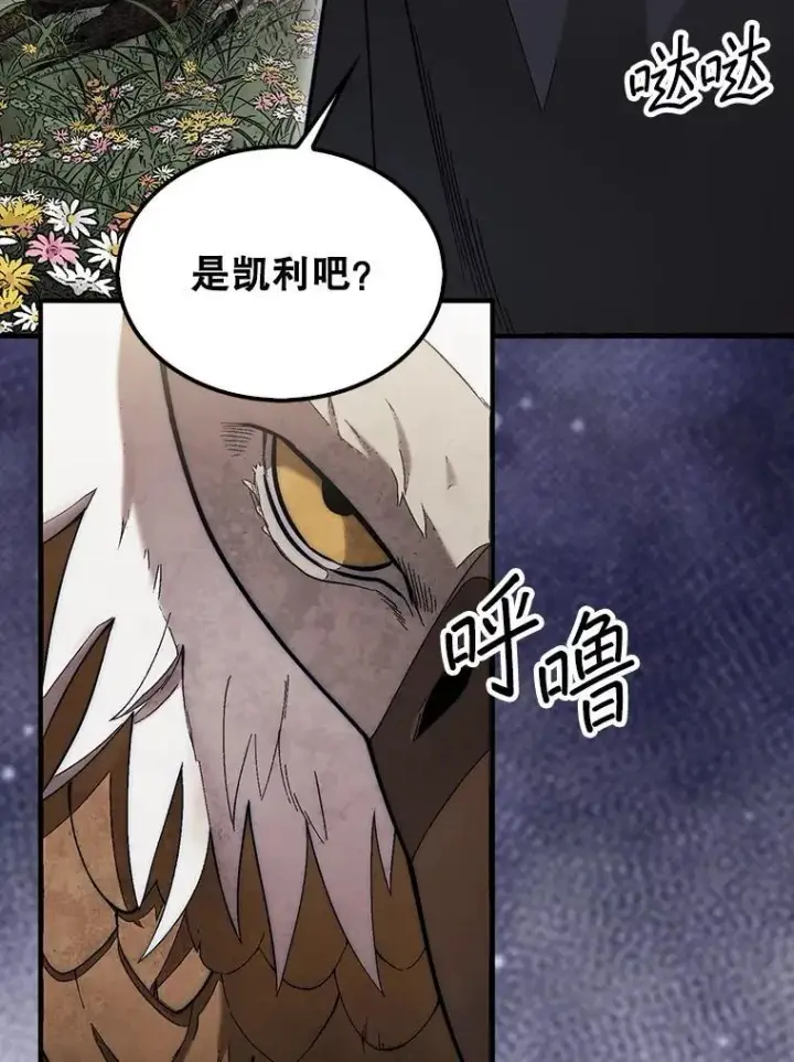 《第31枚棋子打翻棋盘》55.让凯利安息图41
