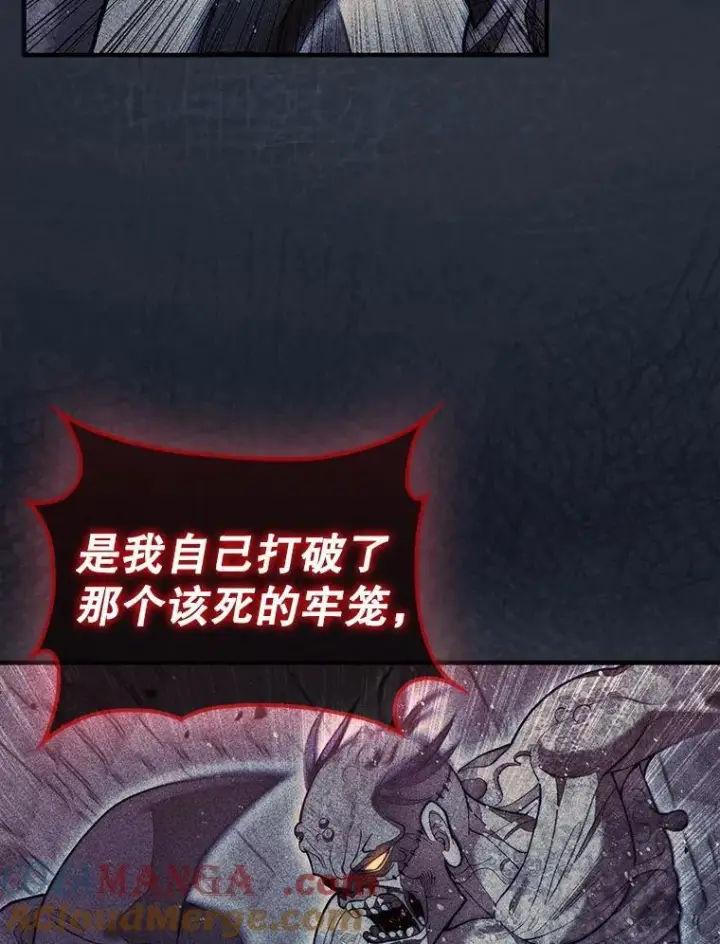 《第31枚棋子打翻棋盘》61.塞拉的信图29