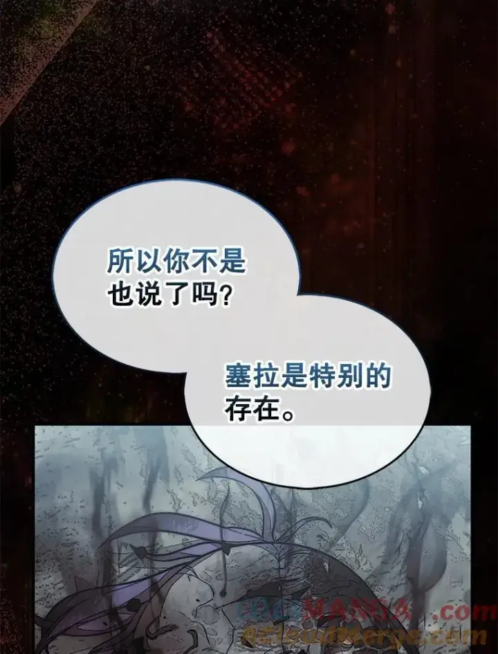 《第31枚棋子打翻棋盘》61.塞拉的信图41