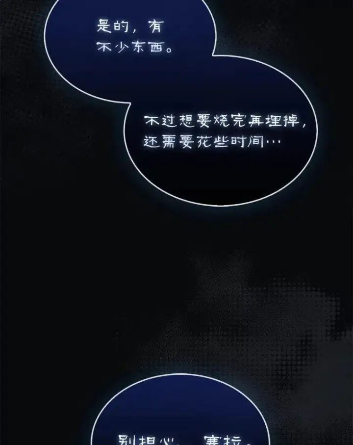 《第31枚棋子打翻棋盘》61.塞拉的信图92