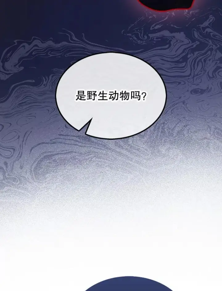 《第31枚棋子打翻棋盘》66.出现帮手图75
