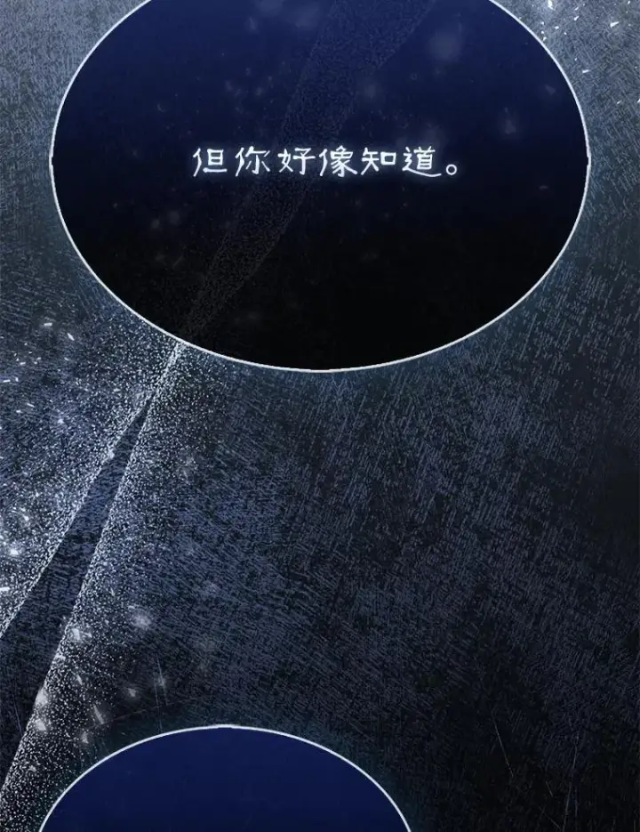 《第31枚棋子打翻棋盘》72.告别图146
