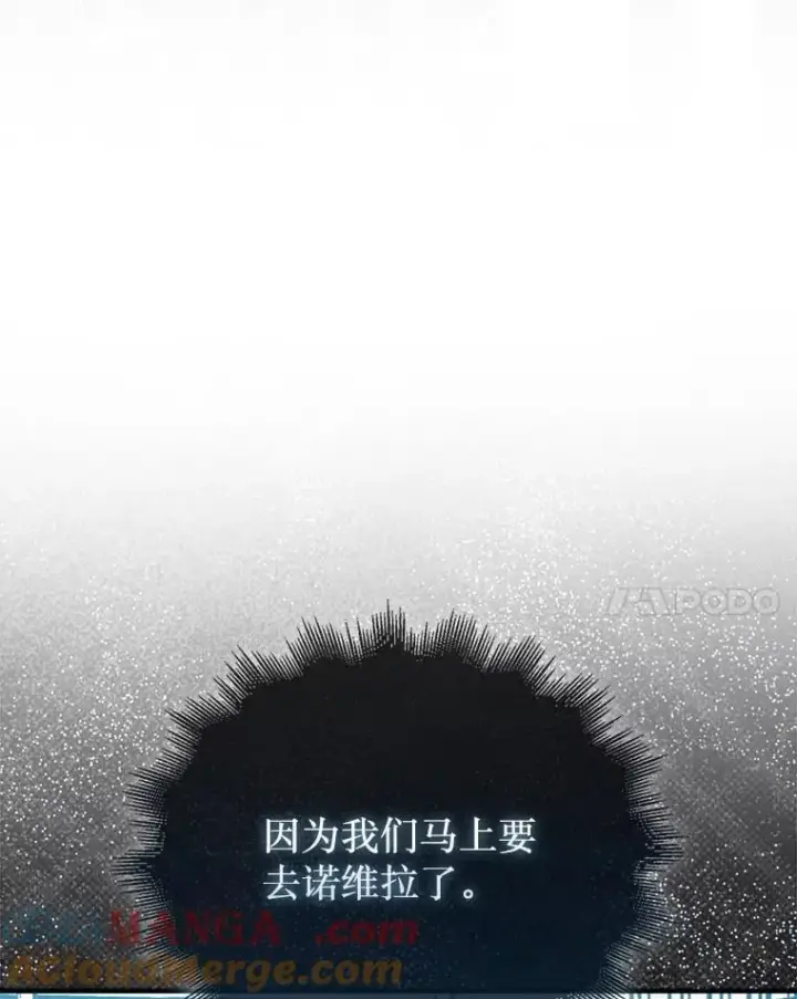 《第31枚棋子打翻棋盘》74.回到诺维拉图101