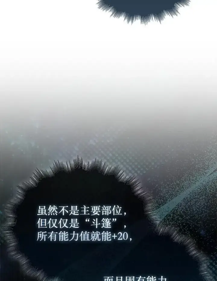 《第31枚棋子打翻棋盘》74.回到诺维拉图8