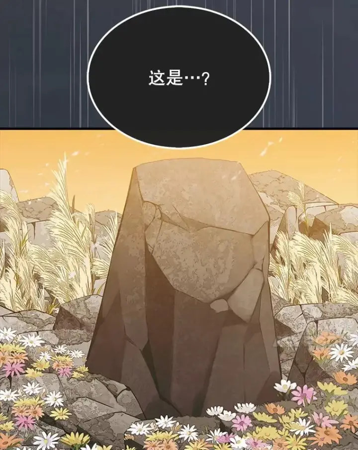 《第31枚棋子打翻棋盘》76.影子猎人图103
