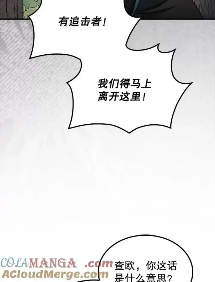 《第31枚棋子打翻棋盘》76.影子猎人图129