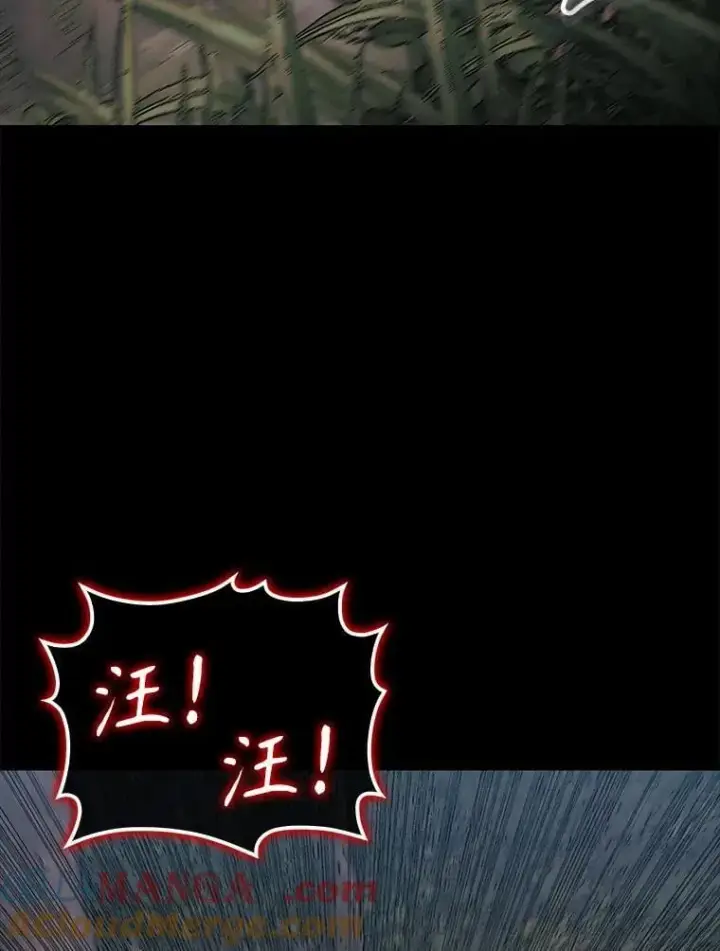 《第31枚棋子打翻棋盘》76.影子猎人图141