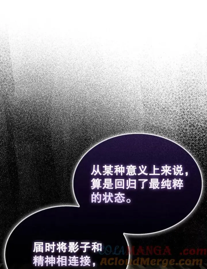 《第31枚棋子打翻棋盘》76.影子猎人图21