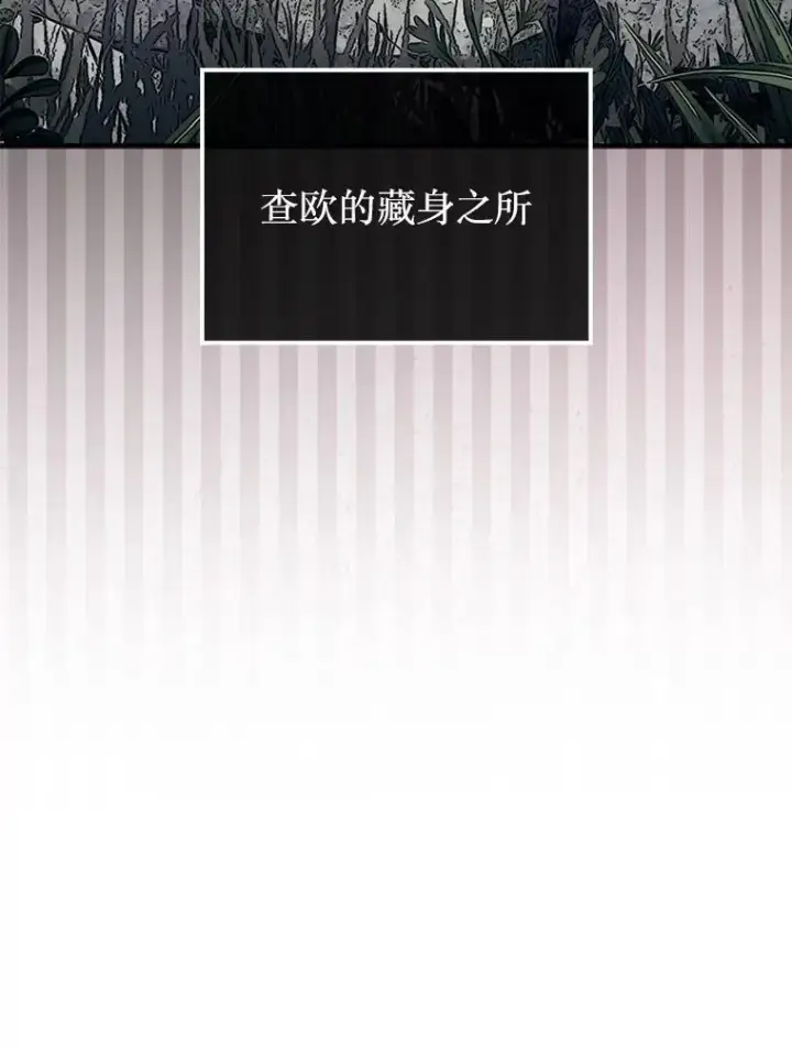 《第31枚棋子打翻棋盘》76.影子猎人图48
