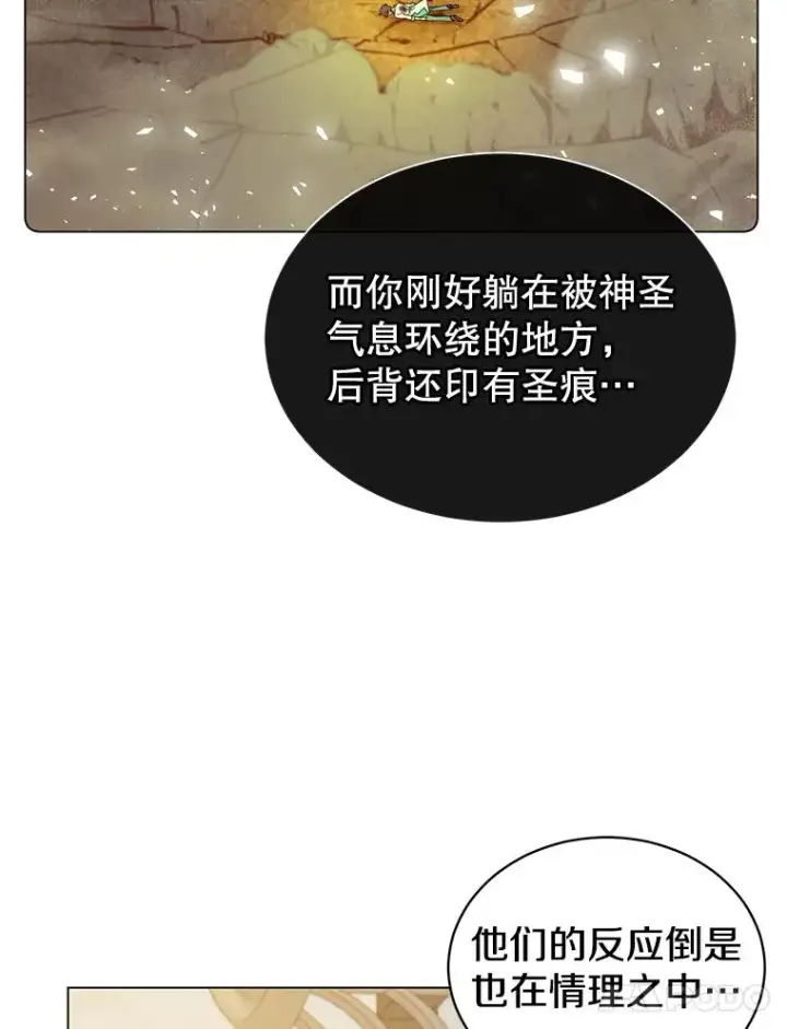 《顶级英雄归来》26.圣痕图27