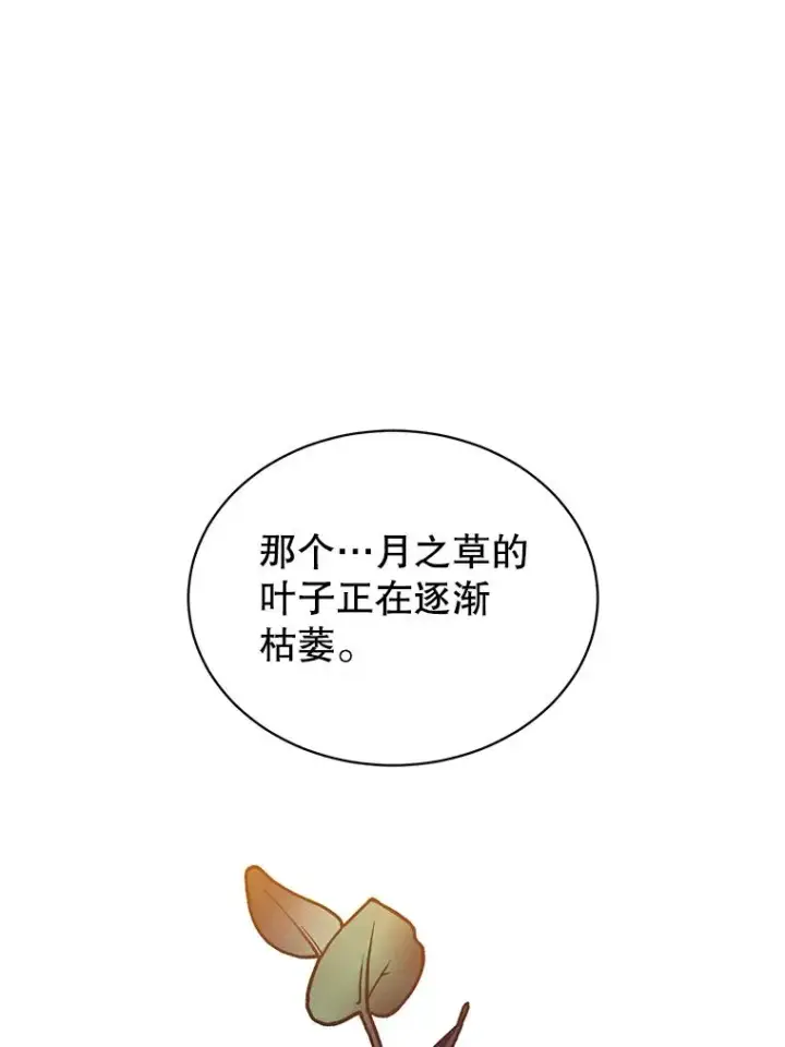 《顶级英雄归来》38.得到月之草图88