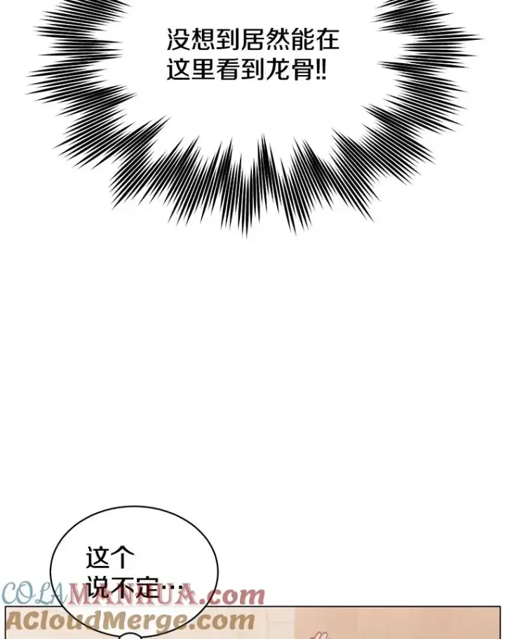 《顶级英雄归来》51.铸成双胞胎剑图41