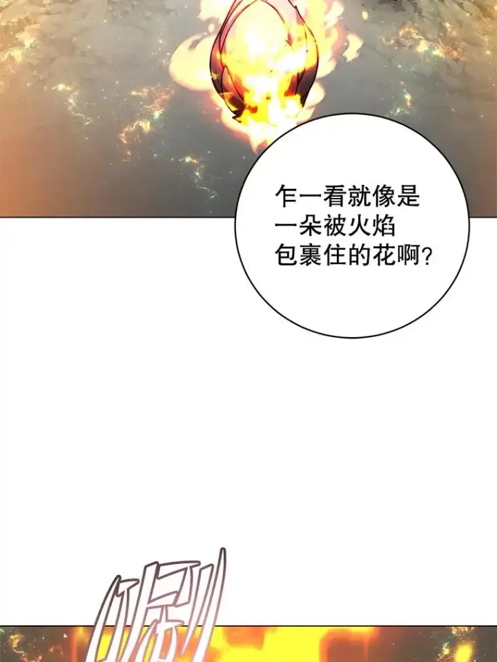 《顶级英雄归来》171.驯服朱雀图27