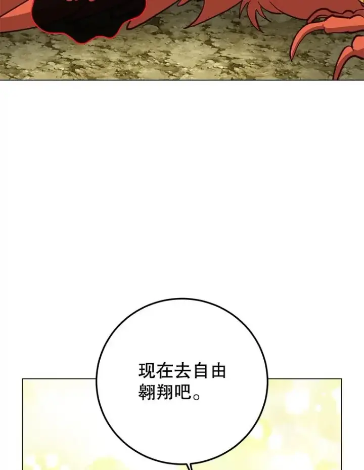 《顶级英雄归来》171.驯服朱雀图98