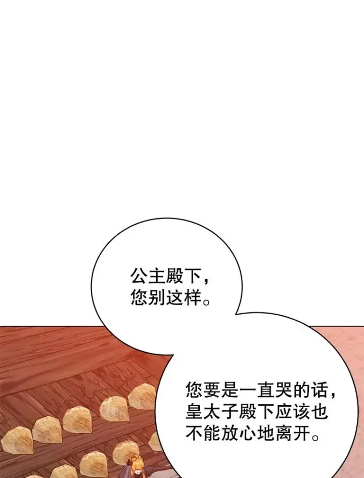 《顶级英雄归来》173.举行国葬图74