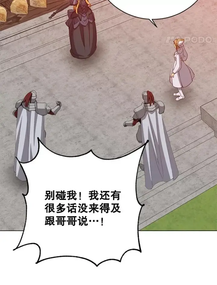 《顶级英雄归来》173.举行国葬图75