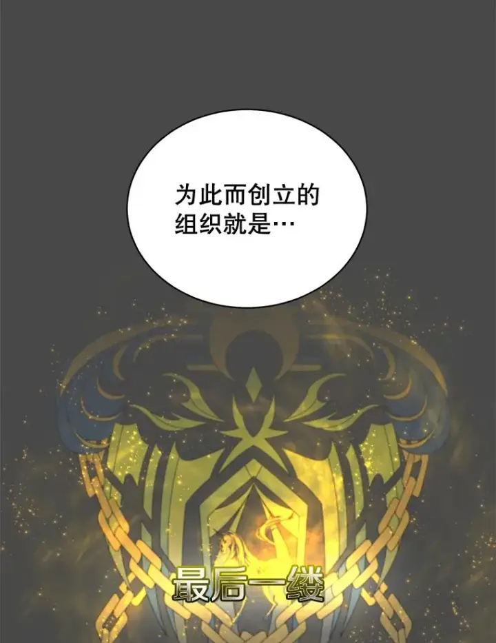 漫画《顶级英雄归来》82.秘密骑士团第11张图