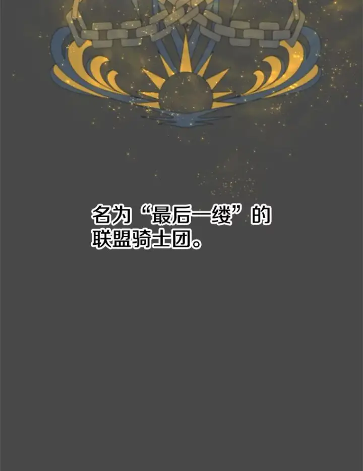漫画《顶级英雄归来》82.秘密骑士团第12张图