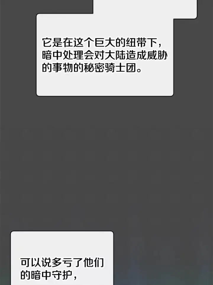 漫画《顶级英雄归来》82.秘密骑士团第16张图
