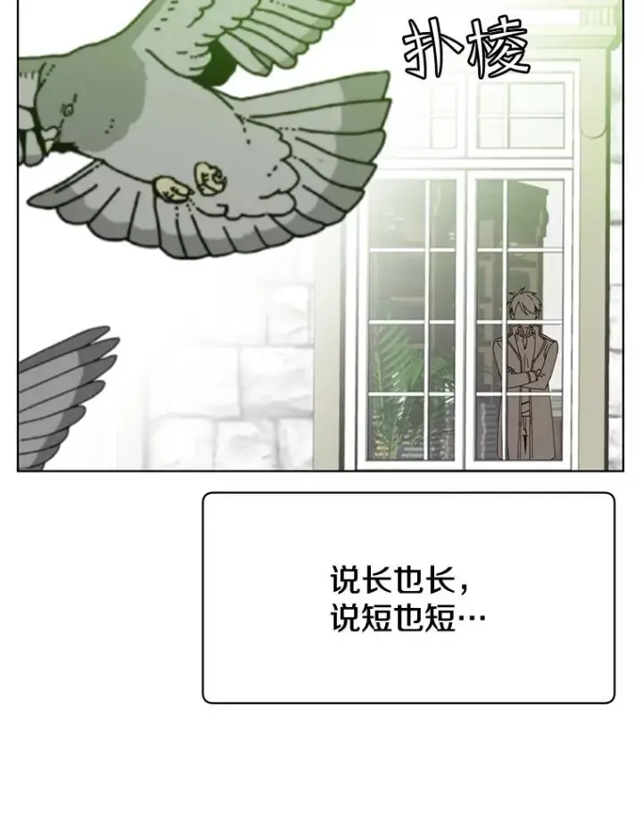 漫画《顶级英雄归来》82.秘密骑士团第86张图