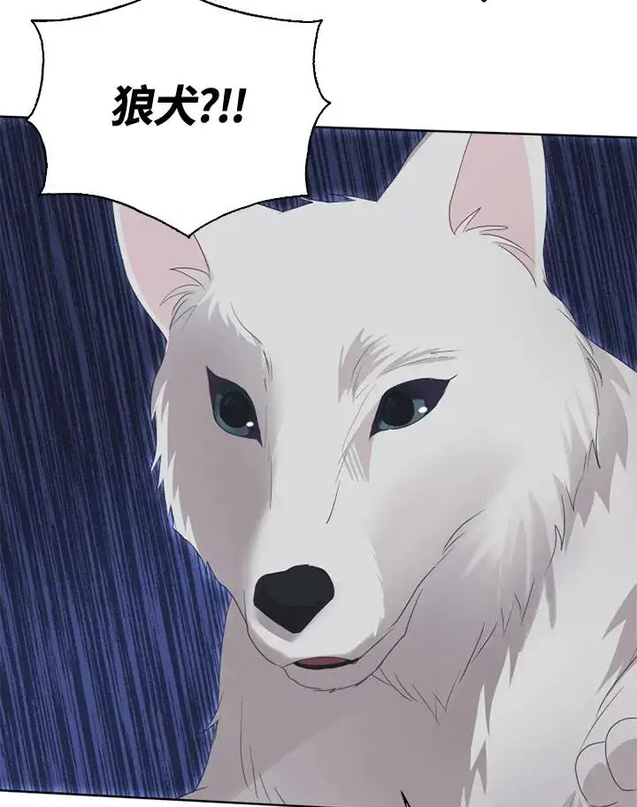 漫画《短命白莲花女主要罢工》第36话第9张图
