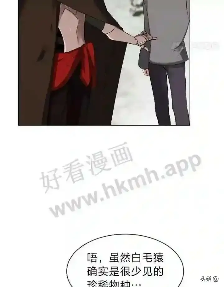 漫画《读心少年利沙度》5.白色猛兽第54张图
