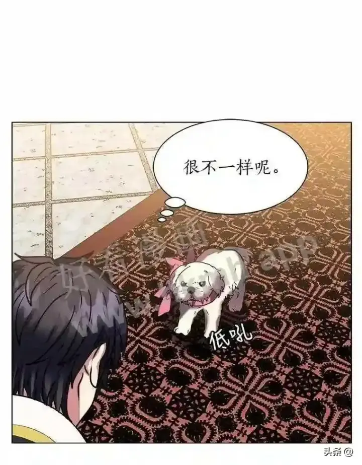 《读心少年利沙度》13.第一份委托图60