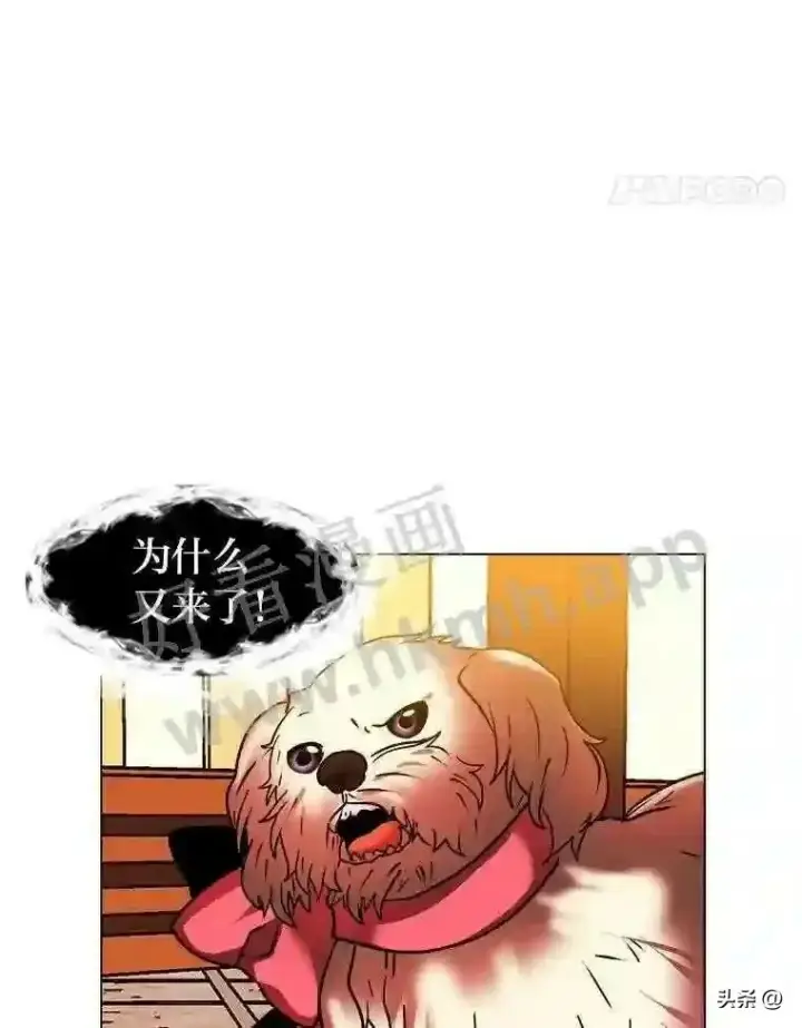 《读心少年利沙度》13.第一份委托图61