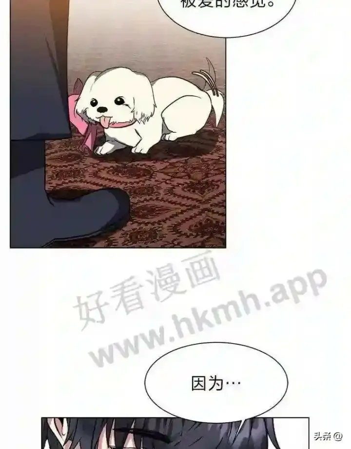 漫画《读心少年利沙度》14.希露的恐惧第64张图