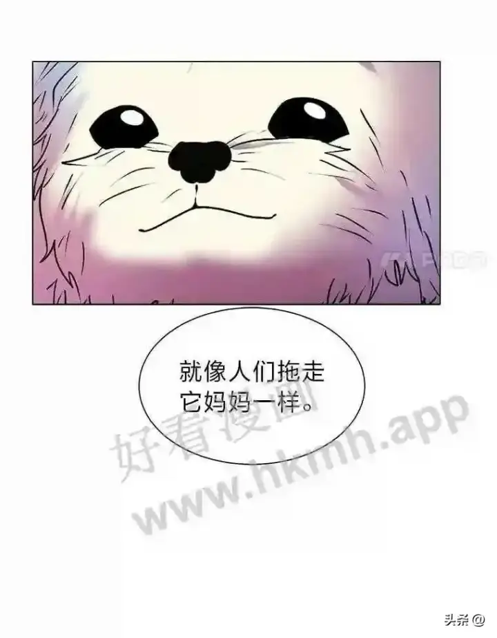 漫画《读心少年利沙度》14.希露的恐惧第68张图