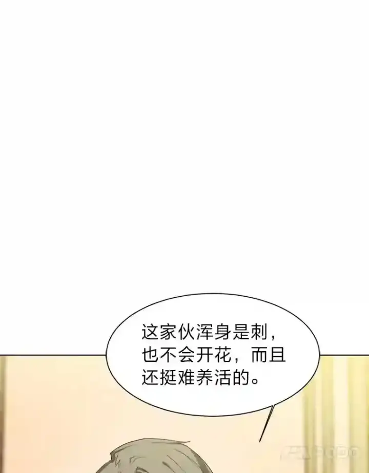 漫画《读心少年利沙度》24.仙人掌阿胡尔第37张图