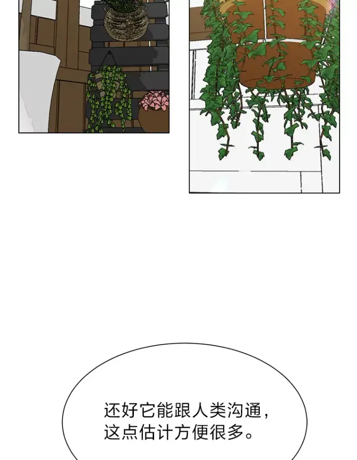 漫画《读心少年利沙度》62.巨人仙人掌第85张图