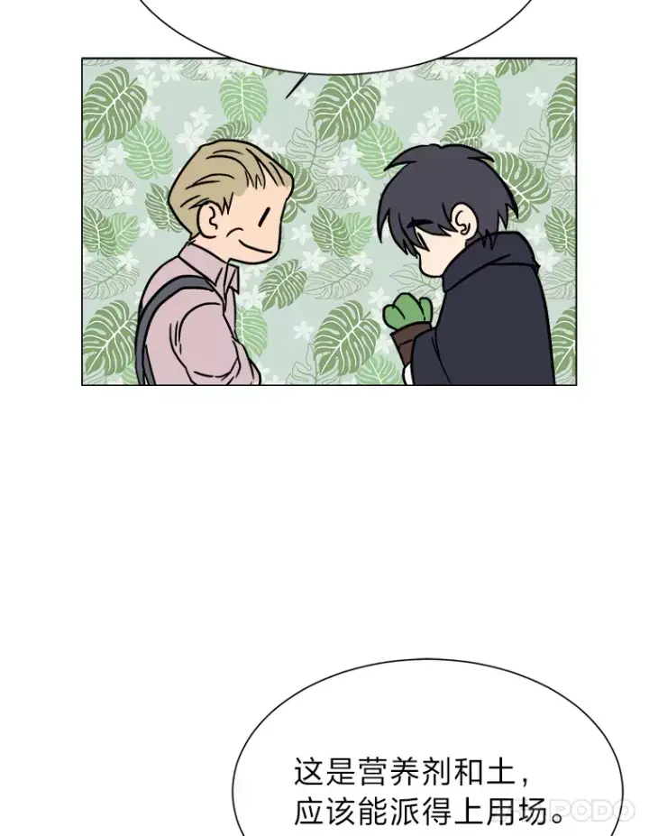 漫画《读心少年利沙度》62.巨人仙人掌第86张图