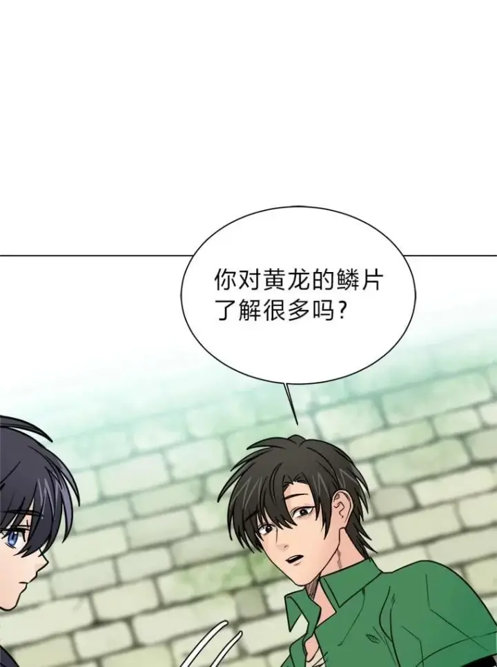漫画《读心少年利沙度》103.黄龙鳞片第38张图