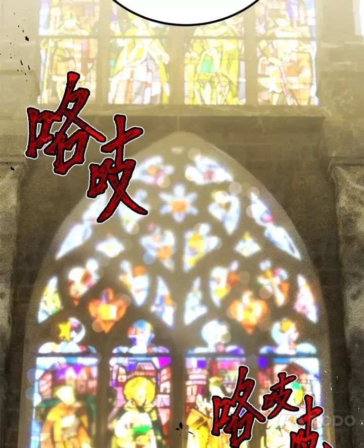 《毒中之王疗愈师》7.荣耀公会的象征图137