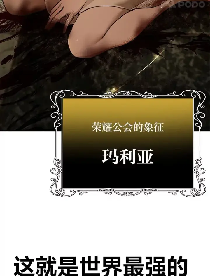 《毒中之王疗愈师》7.荣耀公会的象征图157
