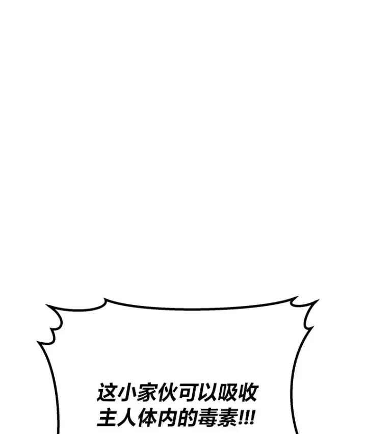 《毒中之王疗愈师》7.荣耀公会的象征图80