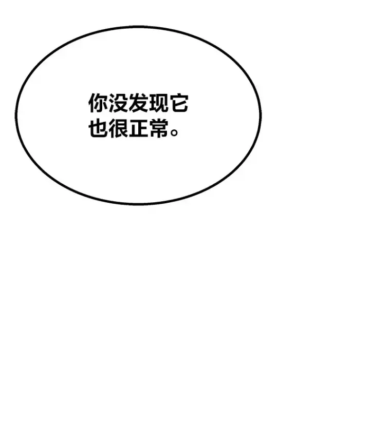 《毒中之王疗愈师》7.荣耀公会的象征图88