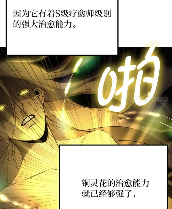 《毒中之王疗愈师》11.铜灵花图77