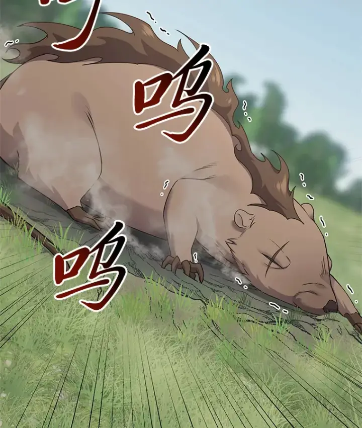 《毒中之王疗愈师》29.S级的贴心服务图57