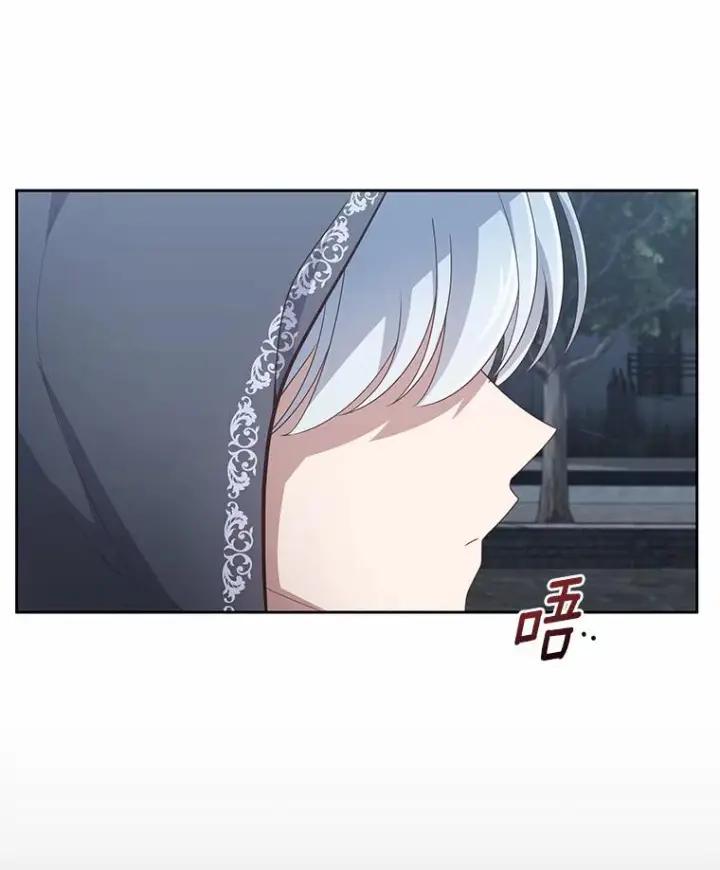 漫画《恶棍的宝贝女儿》25.寻找科蒂莉雅第24张图