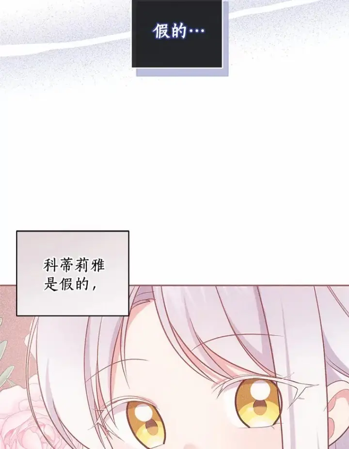 漫画《恶棍的宝贝女儿》69.我的妈妈第26张图