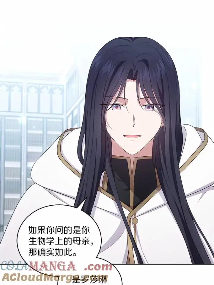 漫画《恶棍的宝贝女儿》69.我的妈妈第29张图