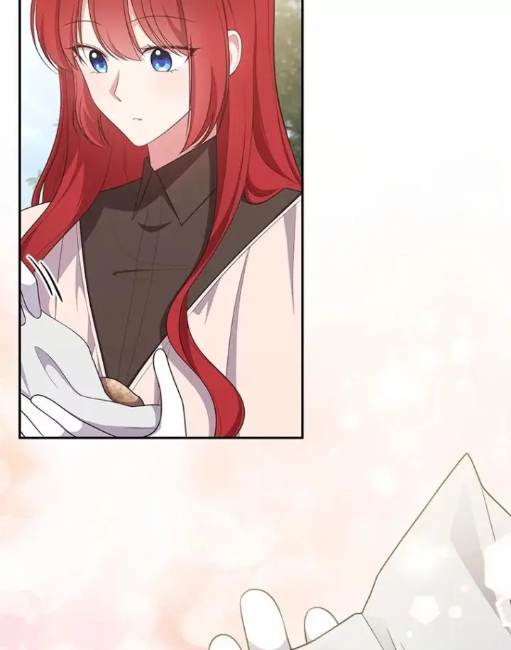 《恶棍的宝贝女儿》73.永恒之春图51