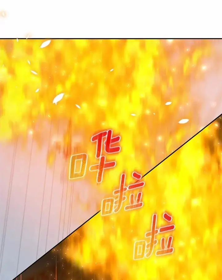 《恶棍的宝贝女儿》89.被毁的阿卡莎图48