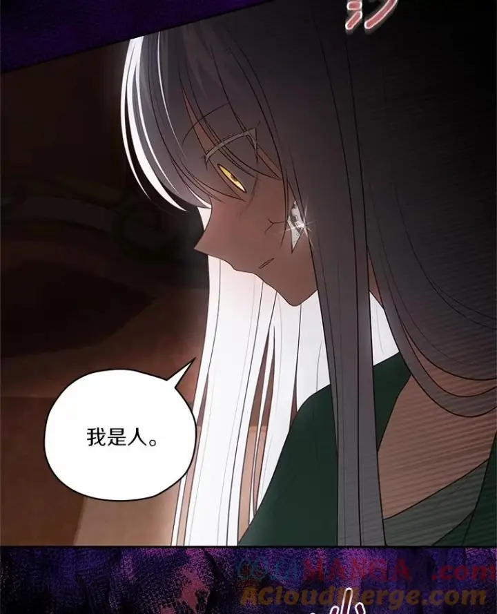 《恶棍的宝贝女儿》90.希望你幸福图101