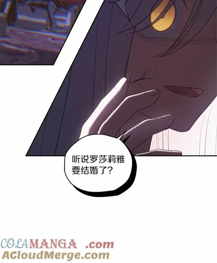 《恶棍的宝贝女儿》91.奇迹（完）图13