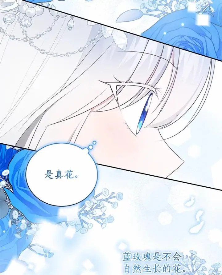 《恶棍的宝贝女儿》91.奇迹（完）图95
