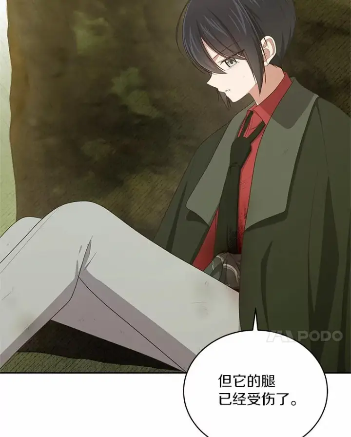漫画《恶棍的宝贝女儿》49.遇到枭熊第51张图