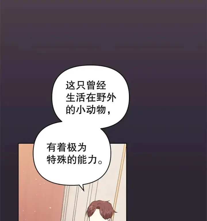 《恶女把男主捡回家》12.神秘人图3